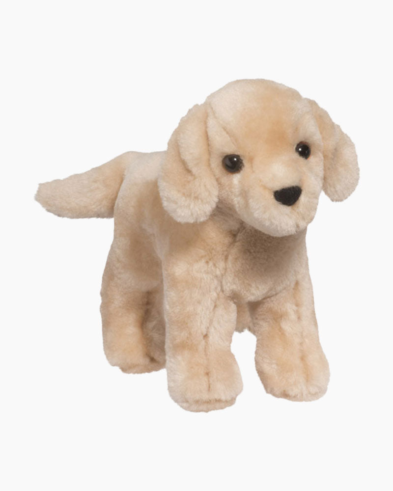 Cornell the Yellow Lab
